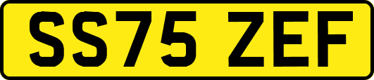SS75ZEF