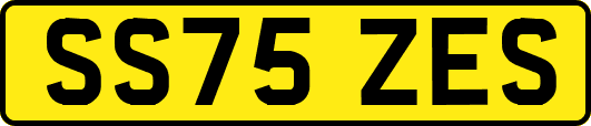 SS75ZES