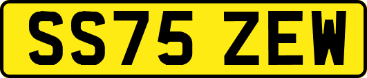 SS75ZEW