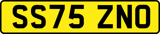 SS75ZNO