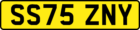 SS75ZNY