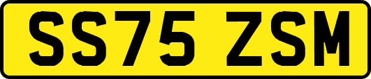 SS75ZSM