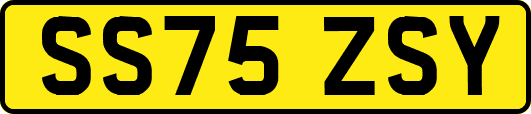 SS75ZSY