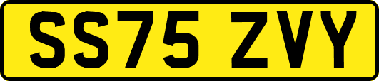 SS75ZVY