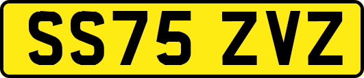 SS75ZVZ