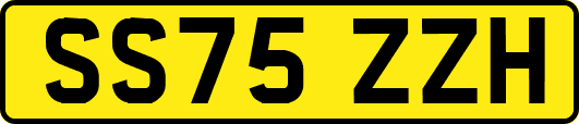 SS75ZZH