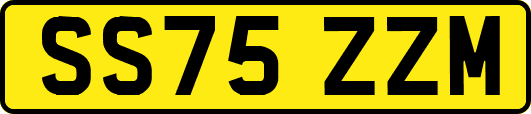 SS75ZZM