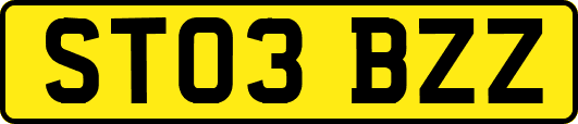 ST03BZZ