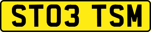 ST03TSM