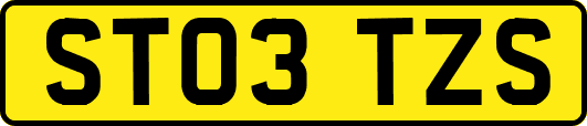 ST03TZS