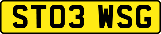 ST03WSG