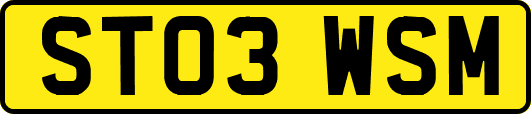 ST03WSM