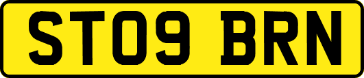 ST09BRN