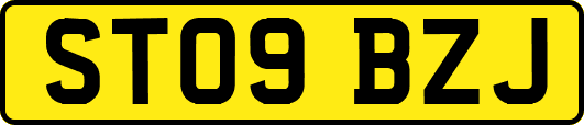 ST09BZJ
