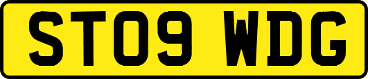ST09WDG