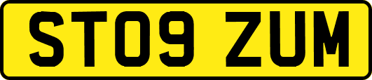 ST09ZUM