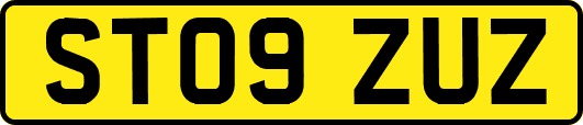 ST09ZUZ