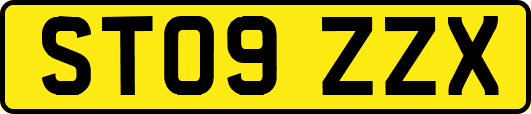 ST09ZZX