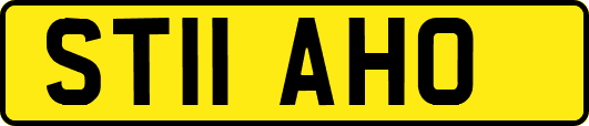 ST11AHO