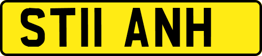 ST11ANH