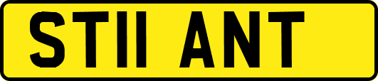ST11ANT