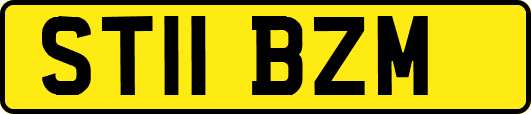 ST11BZM