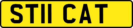ST11CAT