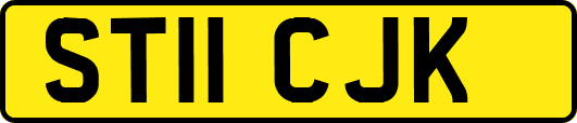 ST11CJK