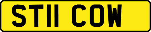 ST11COW