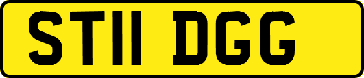 ST11DGG
