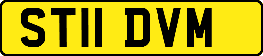 ST11DVM
