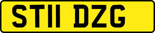 ST11DZG