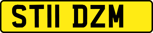 ST11DZM