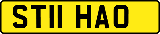 ST11HAO