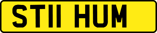 ST11HUM
