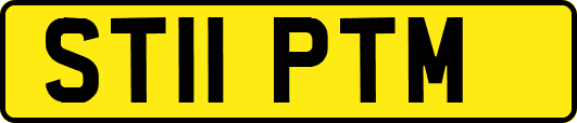 ST11PTM
