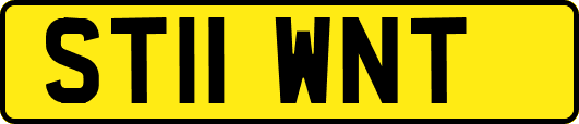 ST11WNT