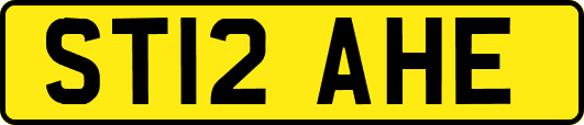 ST12AHE