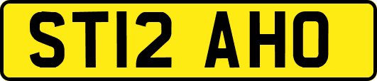 ST12AHO