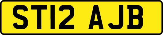 ST12AJB