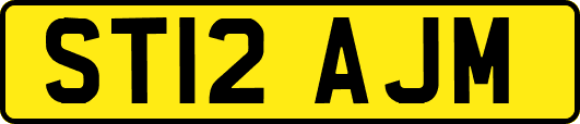 ST12AJM