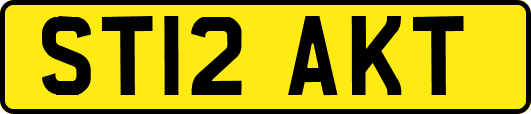 ST12AKT