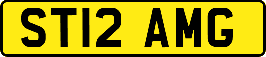 ST12AMG