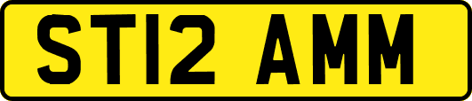 ST12AMM
