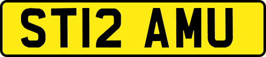 ST12AMU