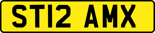 ST12AMX