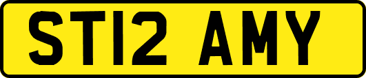 ST12AMY