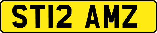 ST12AMZ