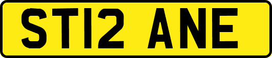 ST12ANE