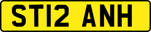 ST12ANH